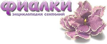  (   ) - violets.ru